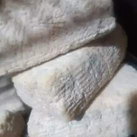 Сыр из молока дагестанских буйволиц